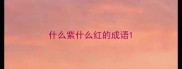 什么紫什么红的成语