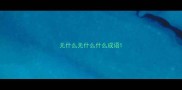 无什么无什么什么成语