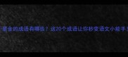 是金的成语有哪些这20个成语让你秒变语文小能手