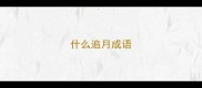 什么追月成语