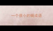 一个很小的蝇成语