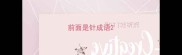前面是针成语