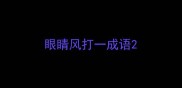 眼睛风打一成语