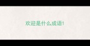 欢迎是什么成语