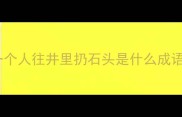 一个人往井里扔石头是什么成语
