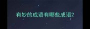 有妙的成语有哪些成语