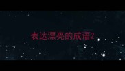 表达漂亮的成语