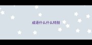 成语什么什么特别