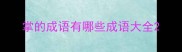 掌的成语有哪些成语大全
