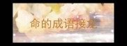 命的成语接龙