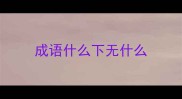 成语什么下无什么