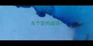 关于宜的成语