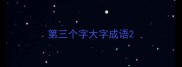 第三个字大字成语