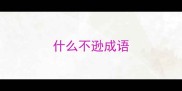 什么不逊成语