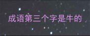 成语第三个字是牛的