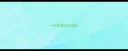 一只龟是什么成语