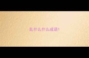 乱什么什么成语