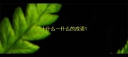 十什么一什么的成语