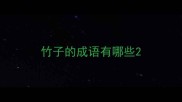 竹子的成语有哪些