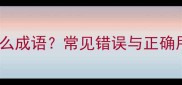 宁为什么成语常见错误与正确用法全