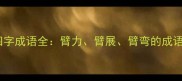 包含臂字的四字成语全臂力臂展臂弯的成语故事与用法