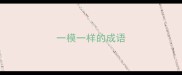 一模一样的成语