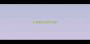 形容有主见的成语