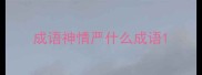 成语神情严什么成语