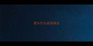 是头什么成语接龙