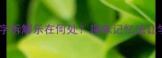 成语谐音大一个乐字拆解乐在何处趣味记忆法让学习成语不再枯燥