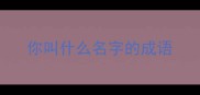你叫什么名字的成语