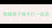 眼睛鼻子嘴手打一成语