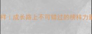 10个正能量成语形容好榜样成长路上不可错过的榜样力量指南小红书爆款公式