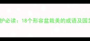 盆栽养护必读18个形容盆栽美的成语及园艺美学