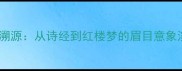 成语溯源从诗经到红楼梦的眉目意象演变