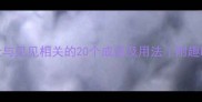 成语大全与见见相关的20个成语及用法附趣味记忆法