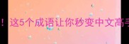迪字四字成语全这5个成语让你秒变中文高手附用法指南