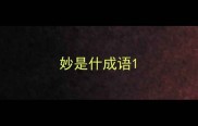 妙是什成语