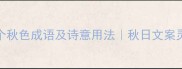 20个秋色成语及诗意用法秋日文案灵感库