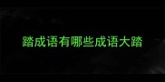 踏成语有哪些成语大踏
