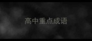高中重点成语
