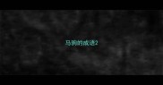 马驹的成语
