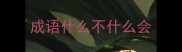 成语什么不什么会