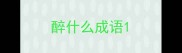 醉什么成语