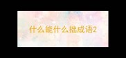 什么能什么拙成语