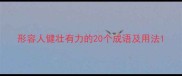 形容人健壮有力的20个成语及用法