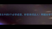 夜雨寄北中的5个必学成语秒变诗词达人附超全学习攻略