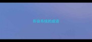 形容系统的成语