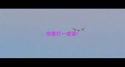 信善打一成语