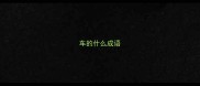车的什么成语